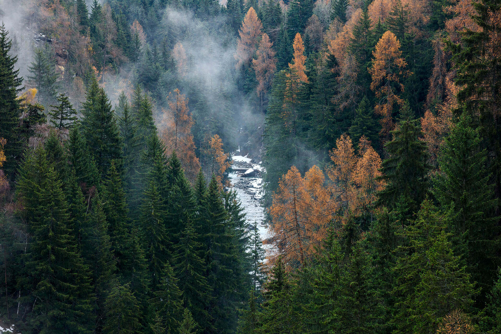 Le fleuve Rhône, Km 29  Canton du Valais, Gorge de La Lama