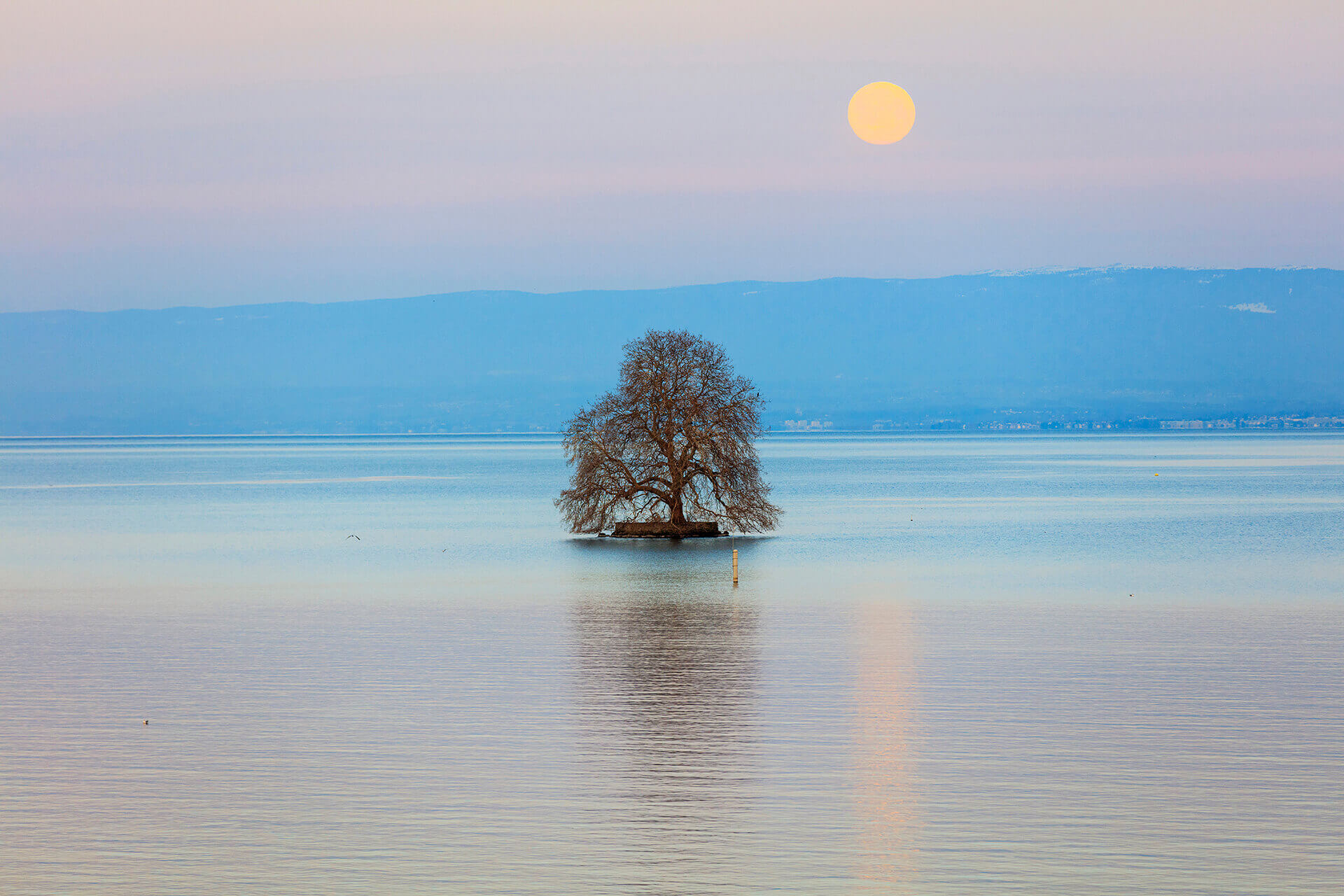 Le fleuve Rhône, Km 167 Canton de Vaud, Villeneuve, île de Peilz