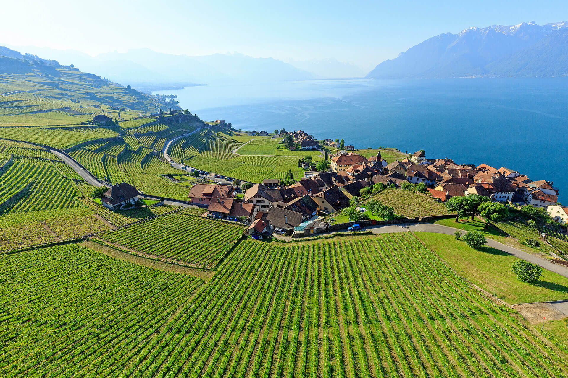 Le fleuve Rhône, Km 175 Canton de Vaud, Rivaz