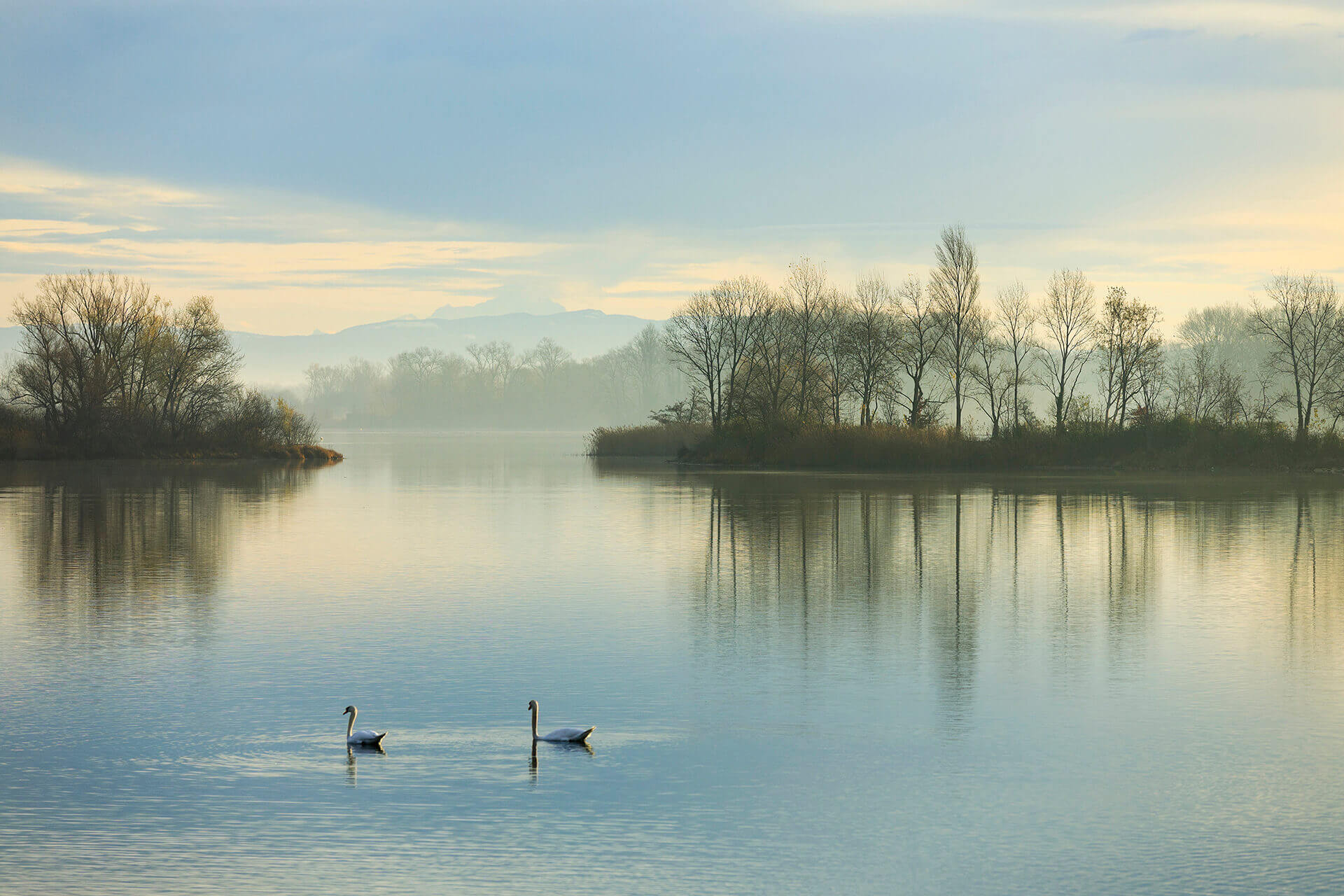 Le fleuve Rhône, Km 436 Rhône, Vaulx-en-Velin, Grand Parc Miribel Jonage, Lac des Eaux Bleues