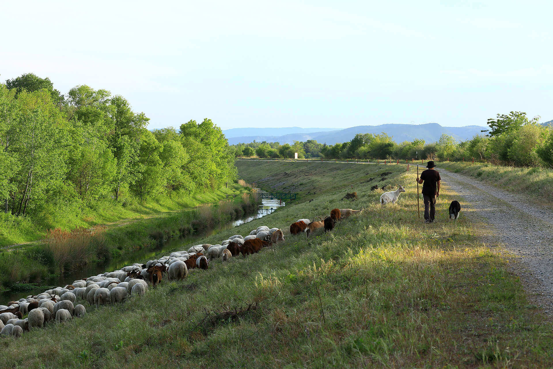 Le fleuve Rhône, Km 559 Drôme, Portes-lès-Valence