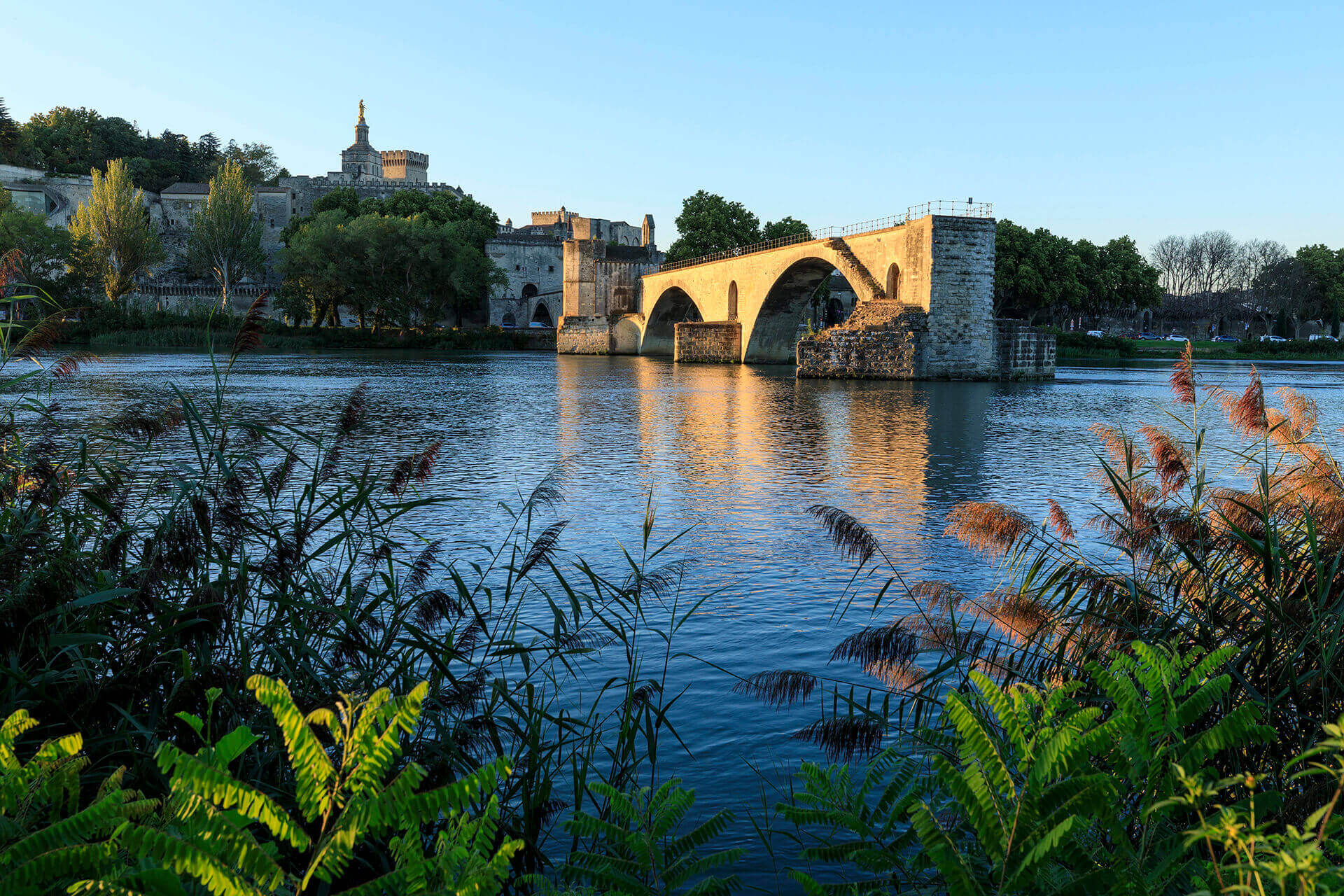 Le fleuve Rhône, Km 682 Vaucluse, Avignon