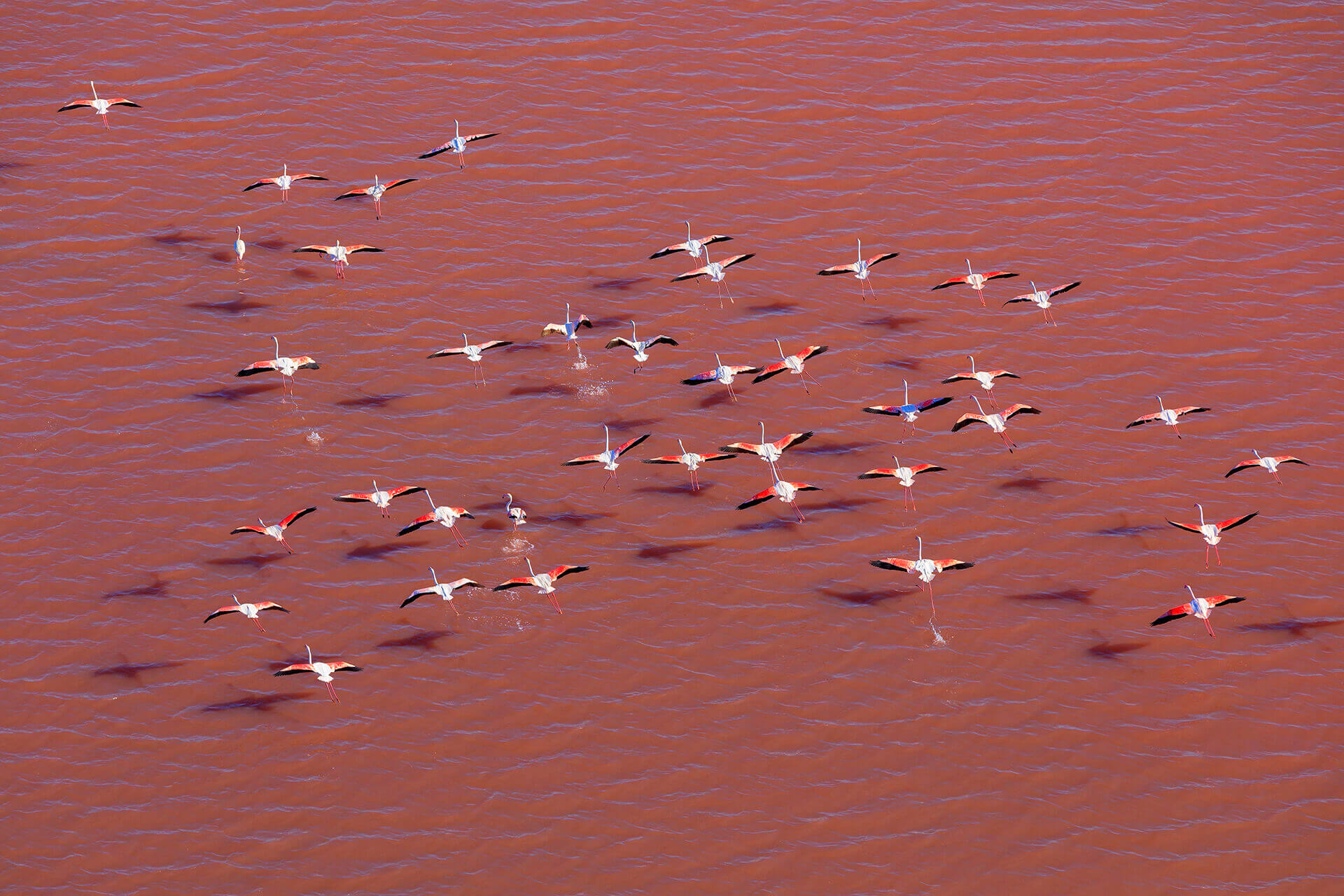 Le fleuve Rhône, Km 807 Bouches-du-Rhône, Arles, Salin de Giraud