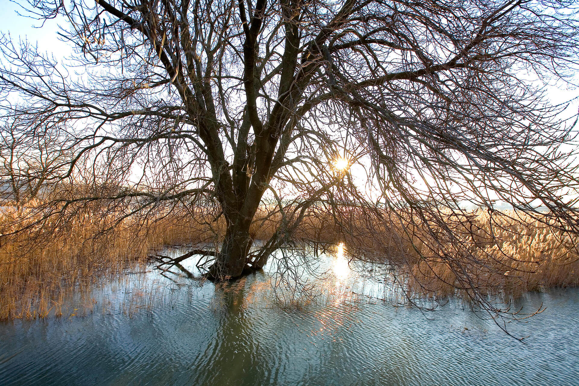 Le fleuve Rhône, un espace naturel vivant - Visages du Rhône, Camille Moirenc.