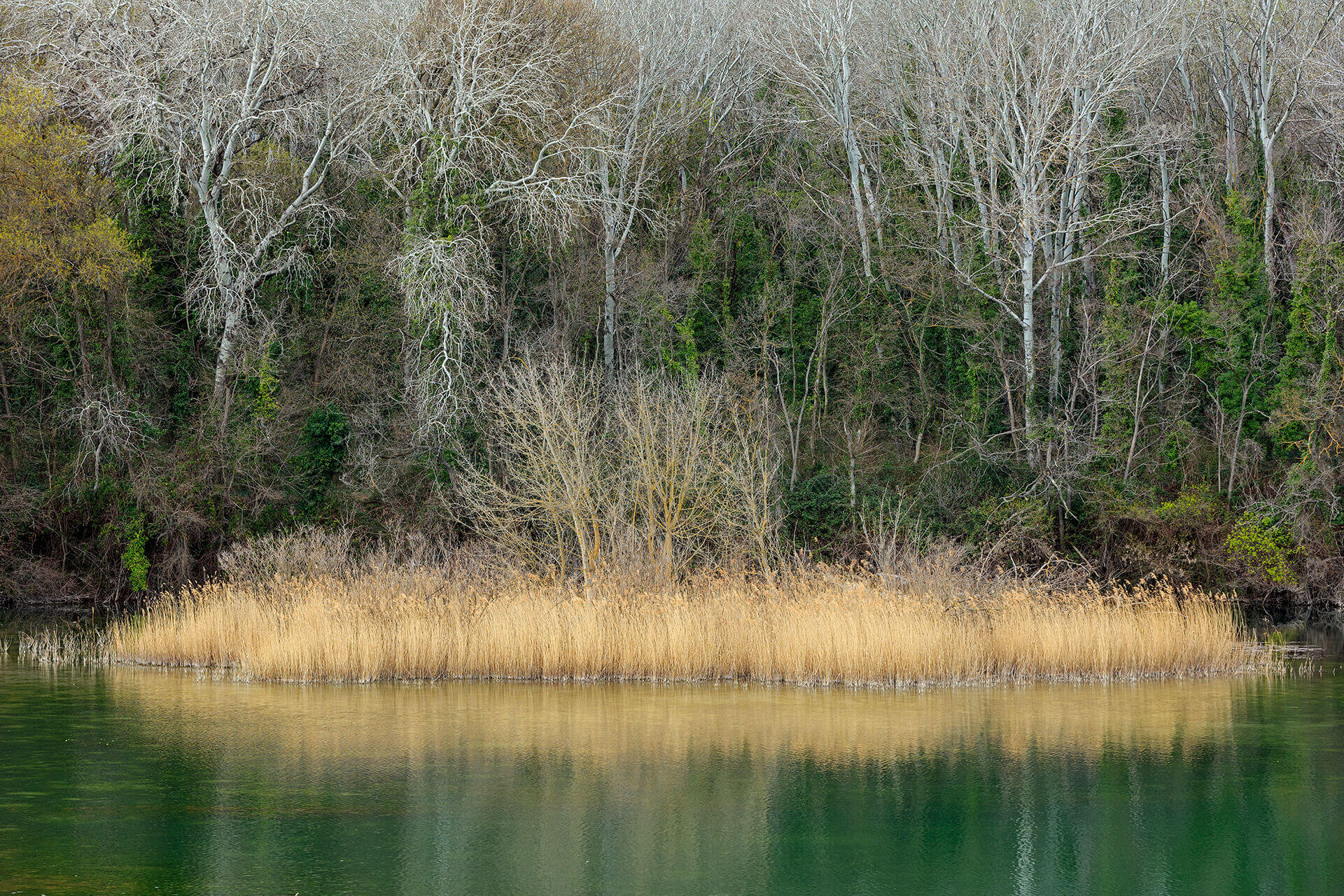 Le fleuve Rhône, un espace naturel vivant - Visages du Rhône, Camille Moirenc.