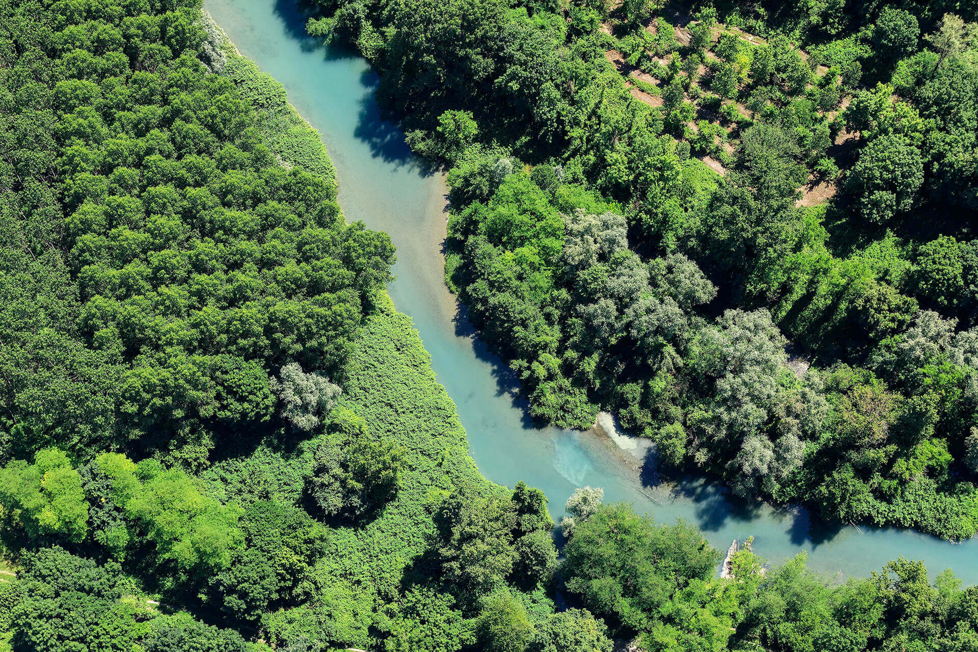 Le fleuve Rhône, un espace naturel vivant - Visages du Rhône, Camille Moirenc.