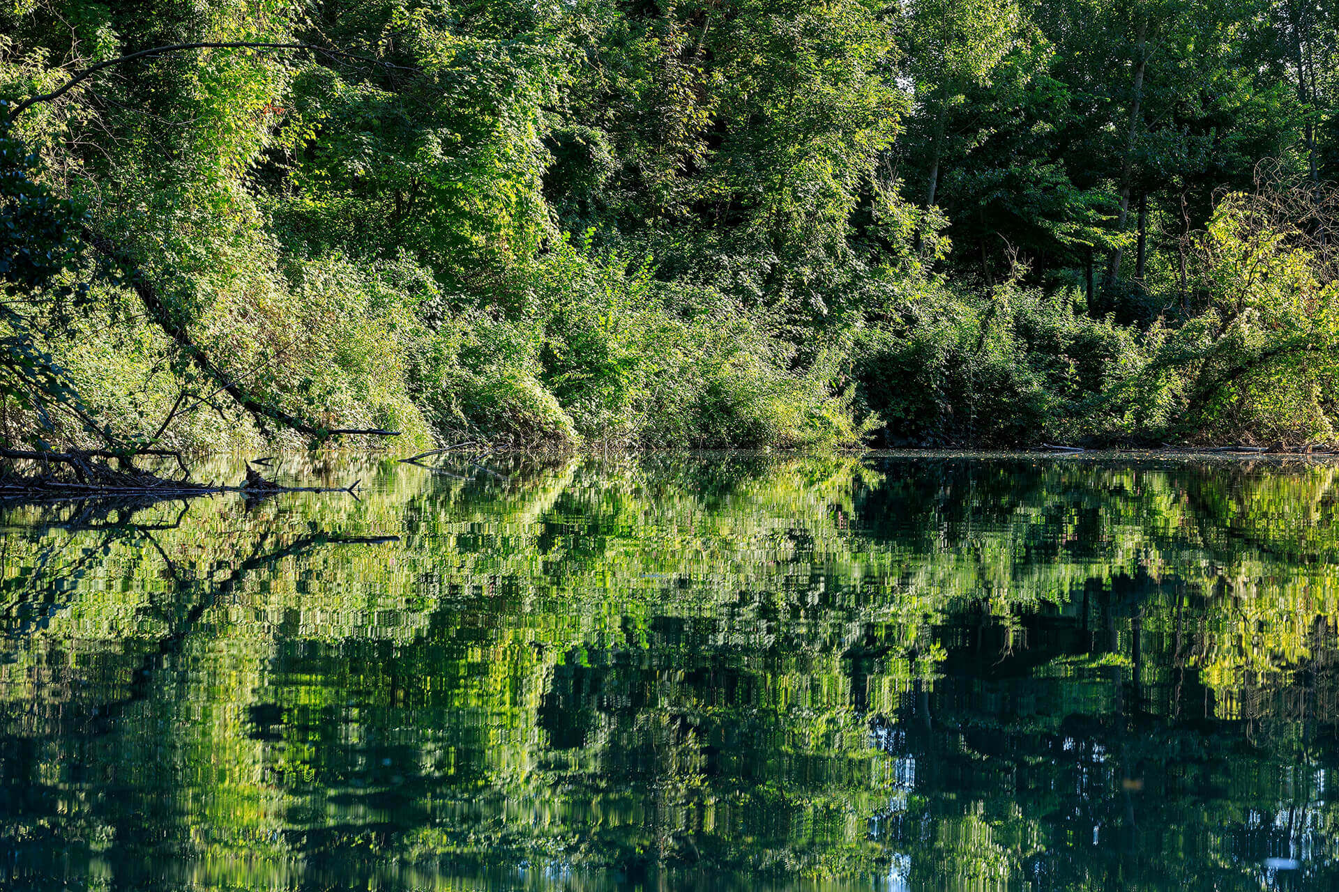 Le fleuve Rhône, un espace naturel vivant - Visages du Rhône, Camille Moirenc.